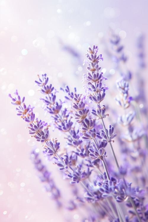 Canvas Print Summerlight