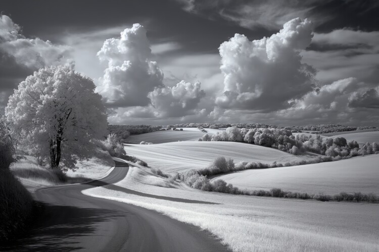 Плакат Infra Red Countryside