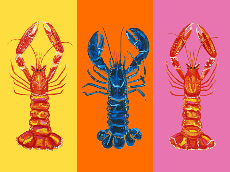 Levně Plakát, Obraz - Lobster Langoustines Pop Art 3, Alice Straker, 40 × 30 cm