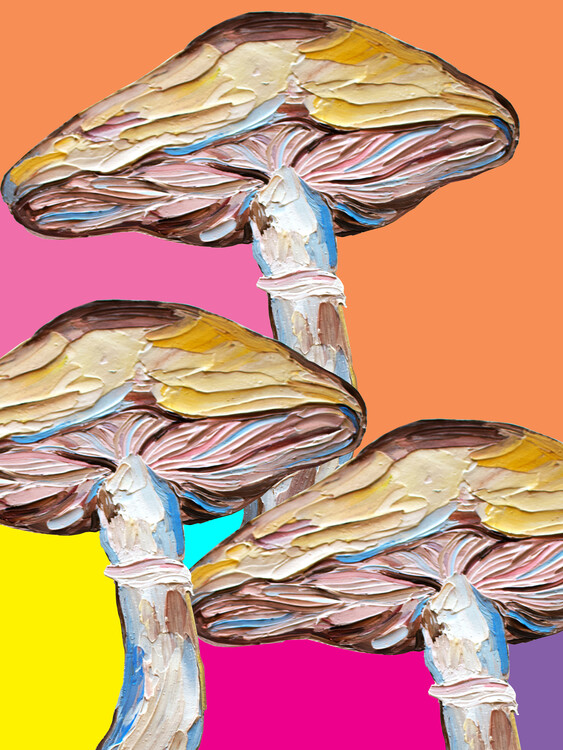 Levně Plakát, Obraz - Psychedelic Mushrooms, Alice Straker, 30 × 40 cm