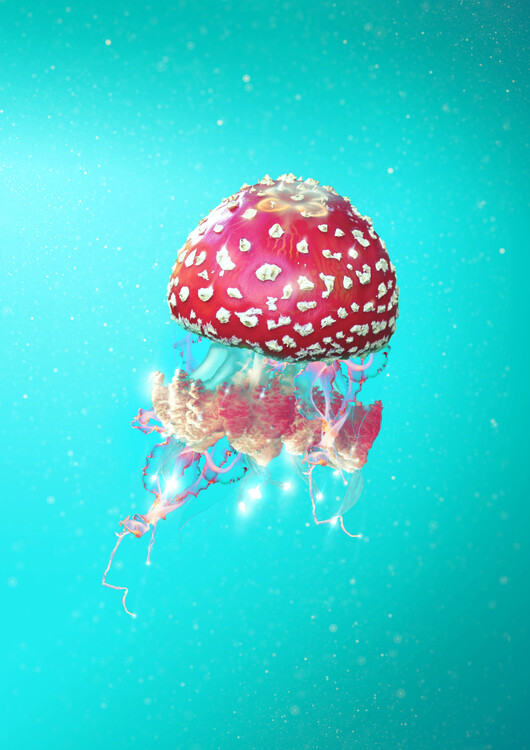 Poster Hallucination