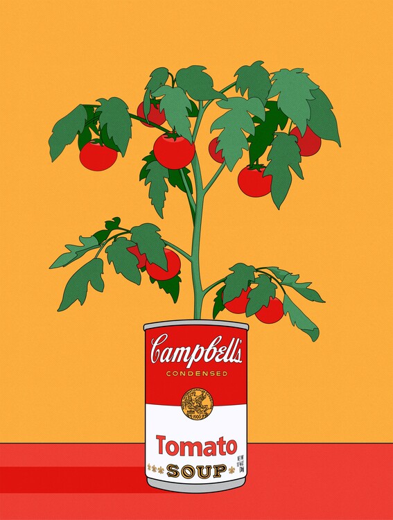 Poster Campbells Soup Tomato Plant Retro Illustration
