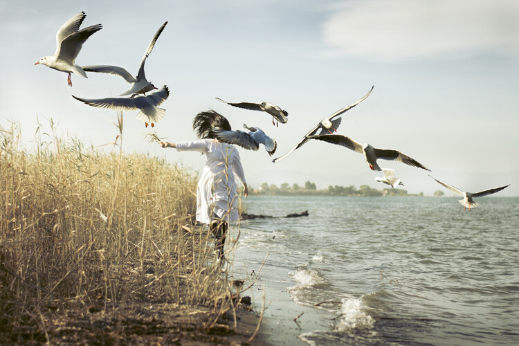 Плакат Feel free