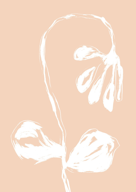 Plakat Peach Fuzz FLower