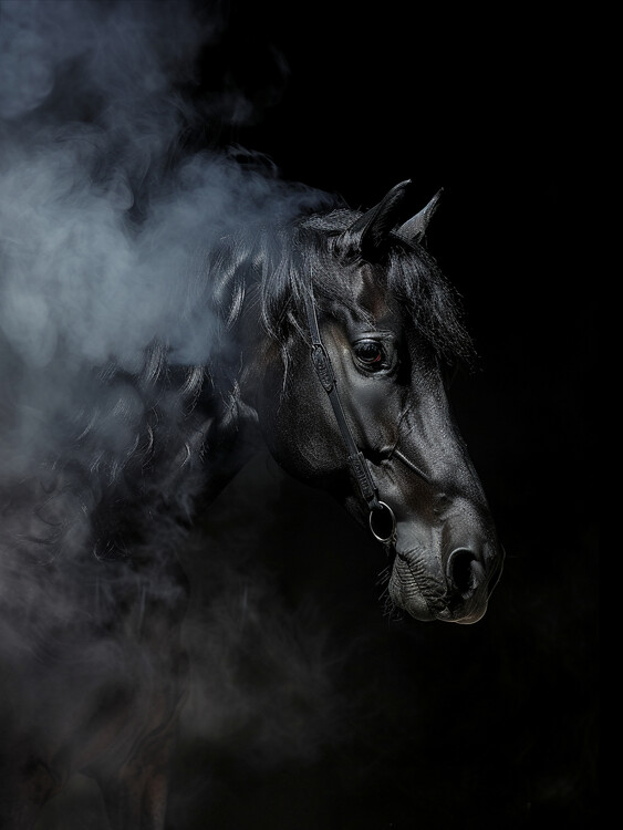 Poster Black Horse in Smoke