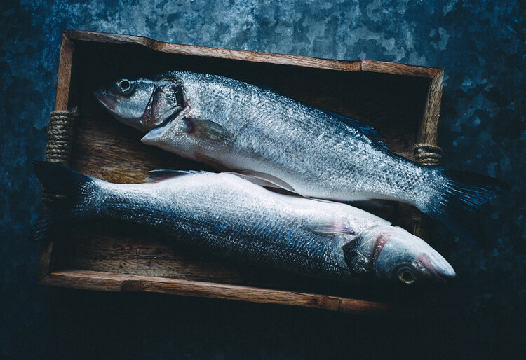 Billede på lærred Two fishes