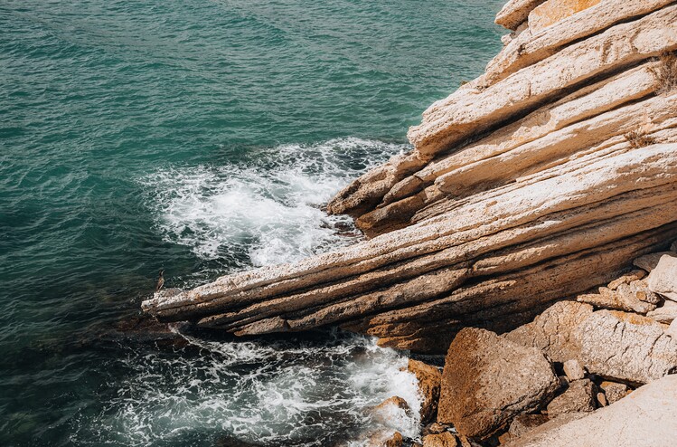 Poster Among The Waves