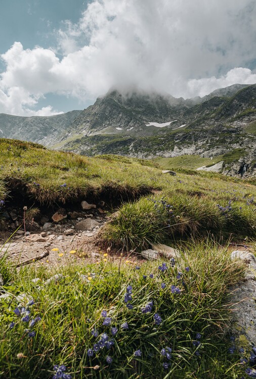 Poster July In The Mountains