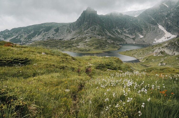 Poster Misty Mountain