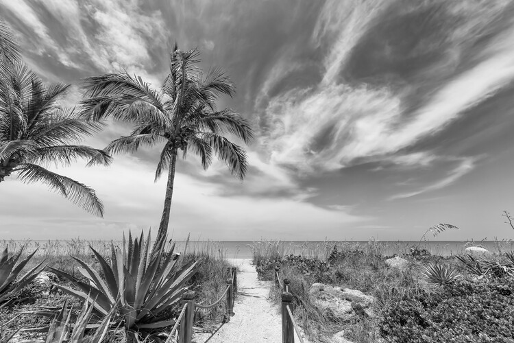Плакат Monochrome path to the beach