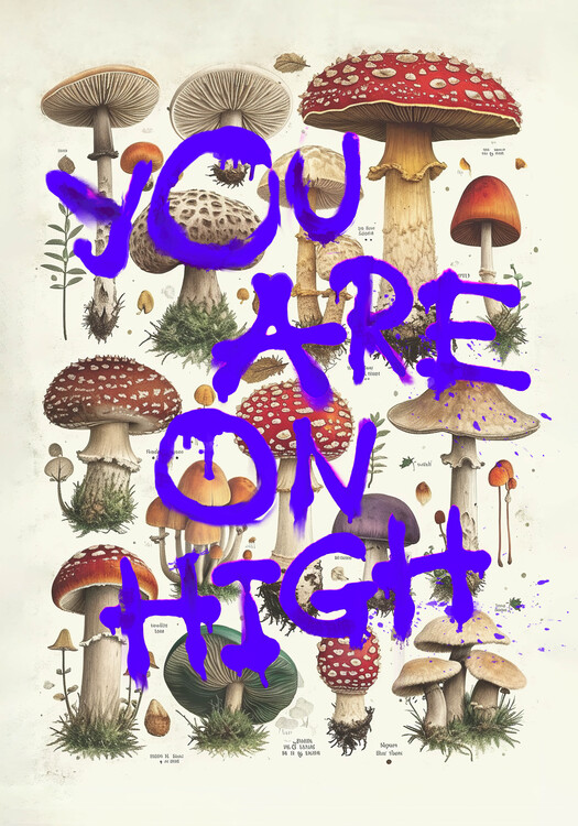 Плакат You Are On High