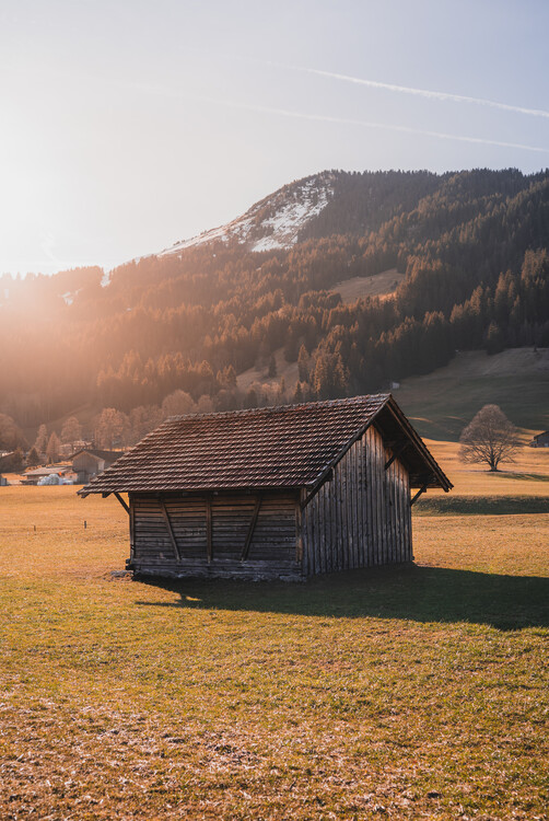 Плакат Swiss Barn