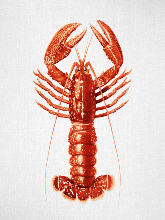 Poster Lobster - Watercolor