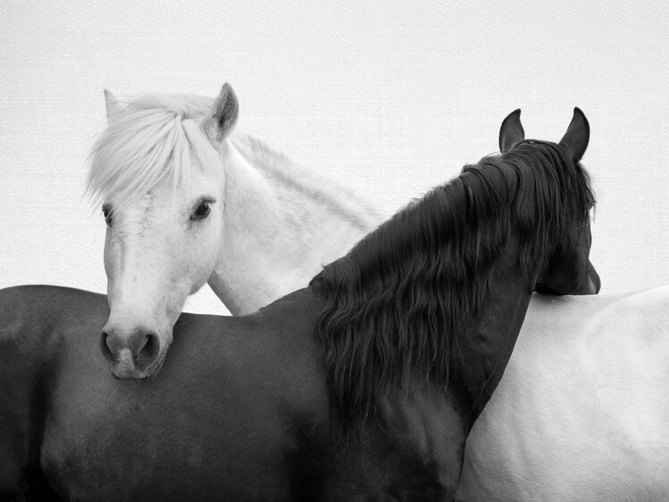 Poster Yin And Yang Horses