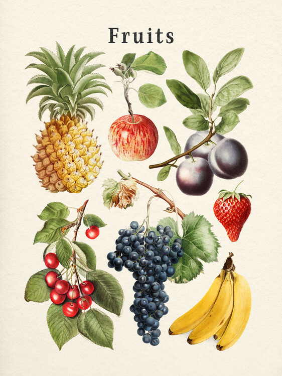 Poster Fruits Collection