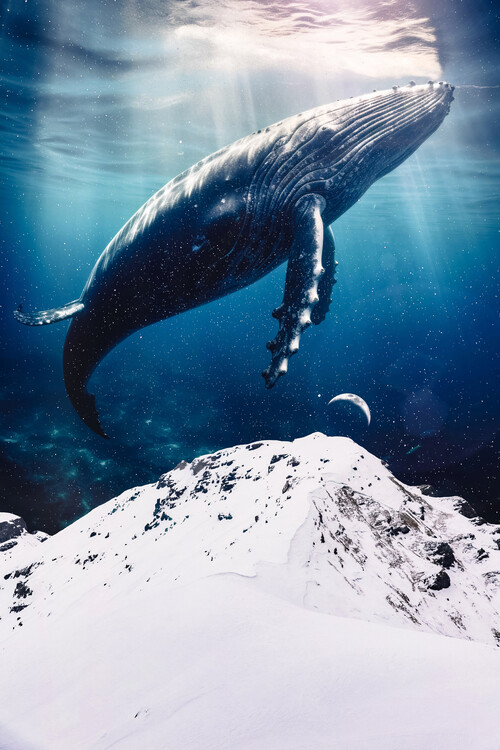 Plagát Giant Blue Whale over the mountains