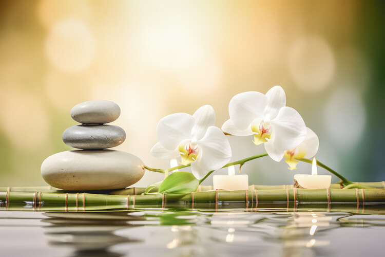 Poster Nachhaltige Pflege