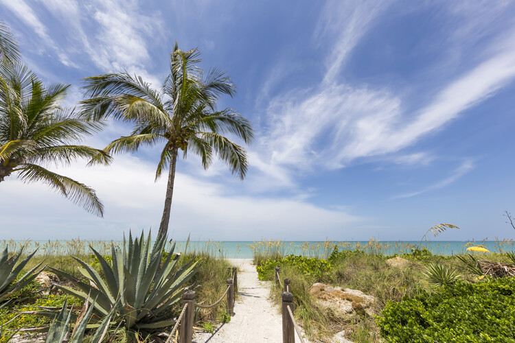 Плакат Idyllic path to the beach