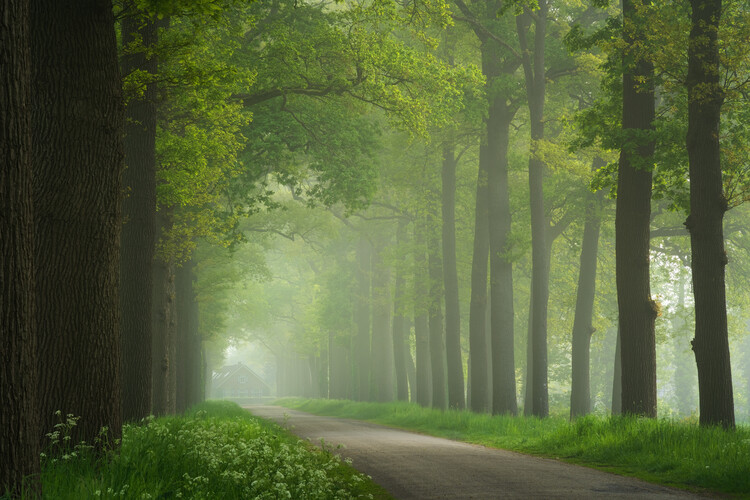 Poster At the end of the road