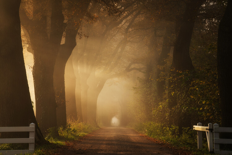 Poster Gate to another world