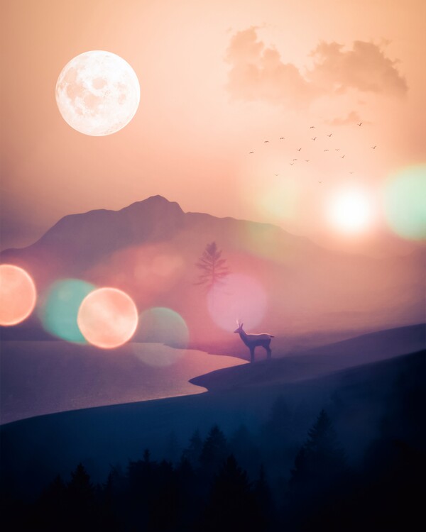Plagát Silhouette deer mountains landscape