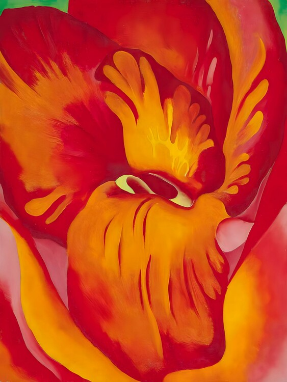 Poster Canna Red and Orange