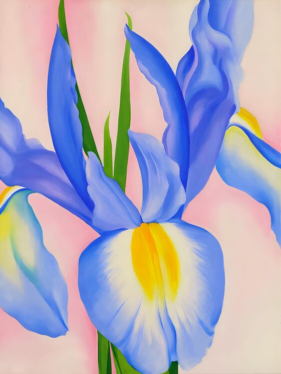 Poster Georgia O'Keeffe - Lavender Iris
