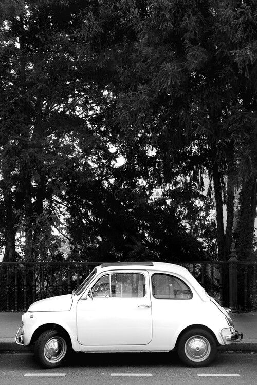 Tableau sur toile Mini Car Baw