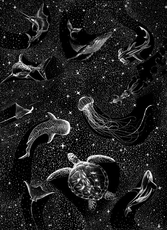 Poster Cosmic ocean