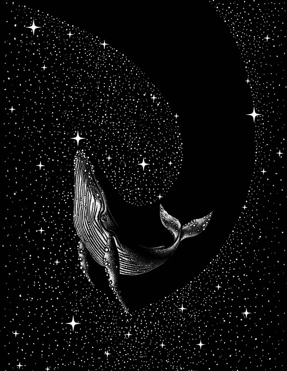 Canvas Print Starry Whale