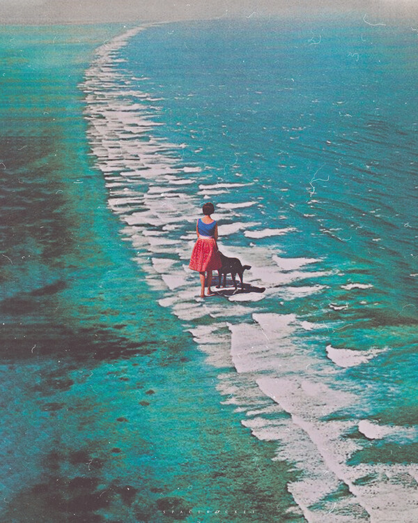 Poster Morning walk with dog