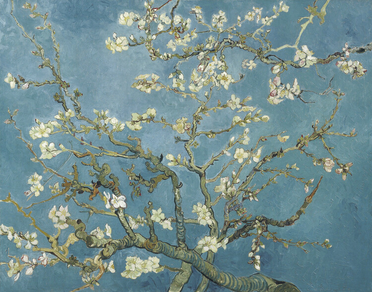 Poster Almond Blossoms