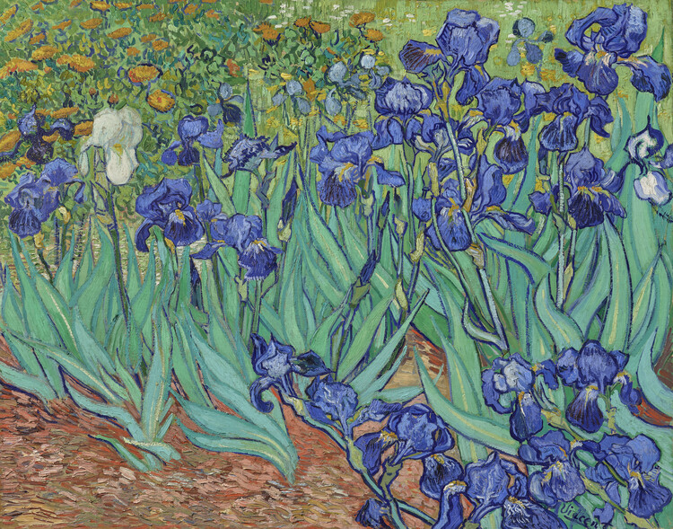 Canvas Print Irises