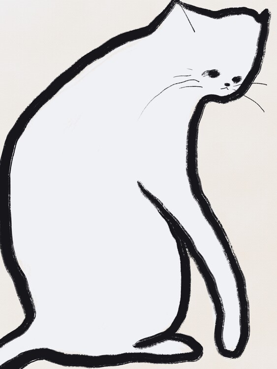 Poster White cat