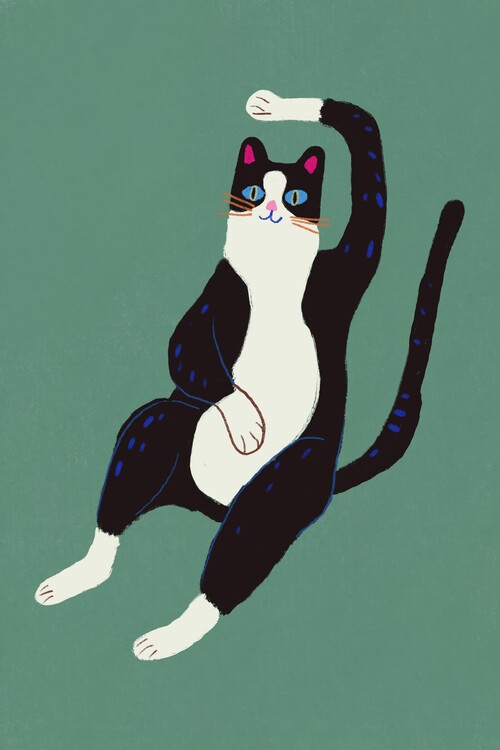 Poster Black and white cat