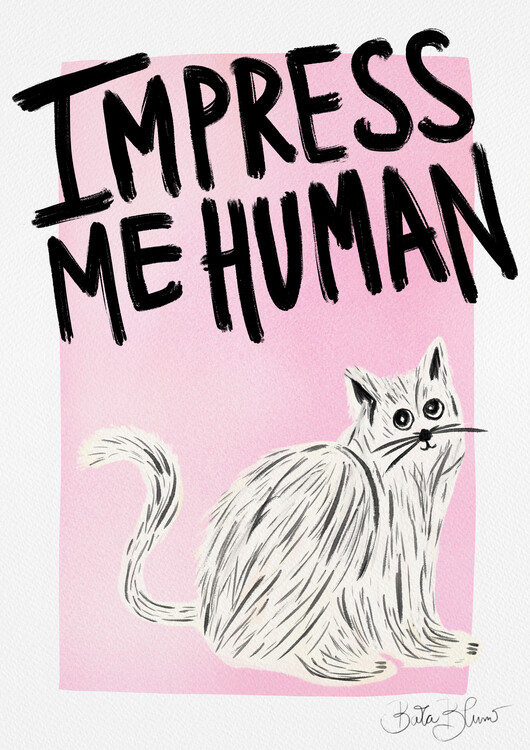 Poster Cat Owner - Impress Me Human