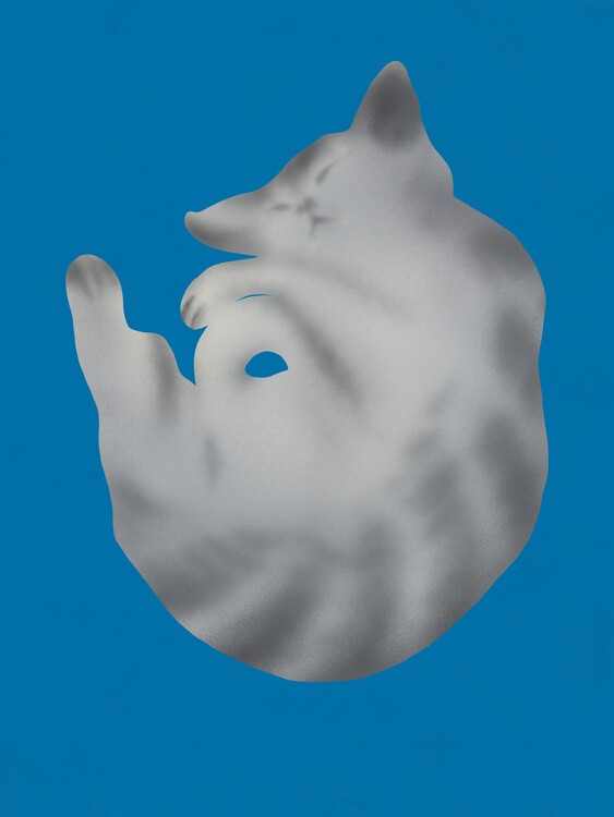 Poster Silver cat portrait