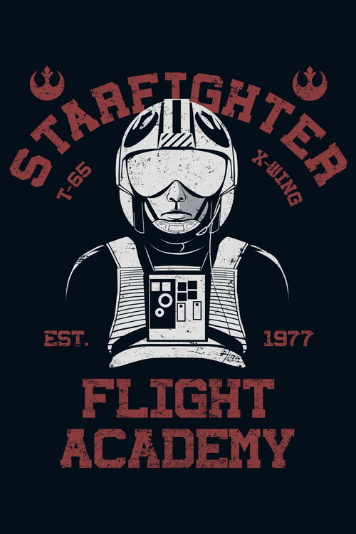 Poster To Restore the Republic