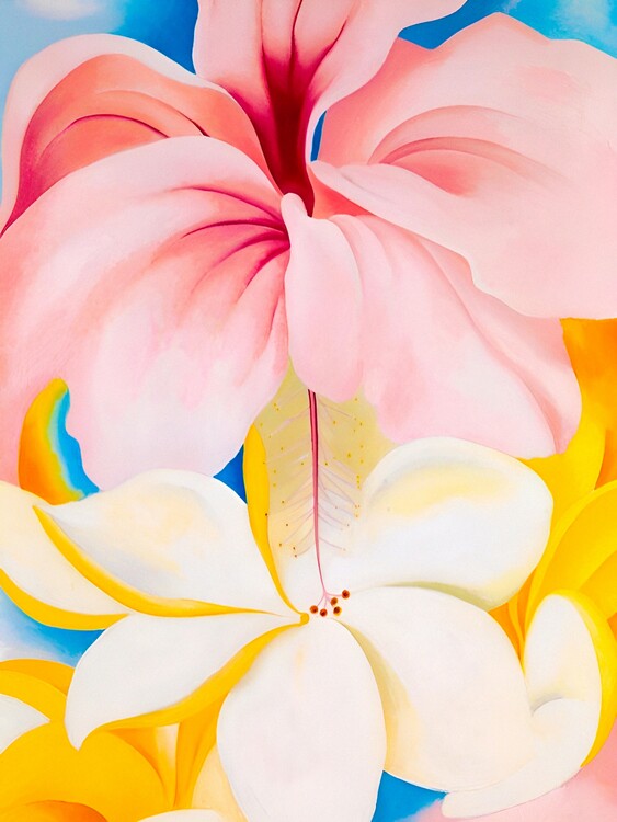 Poster Hibiscus with Plumeria