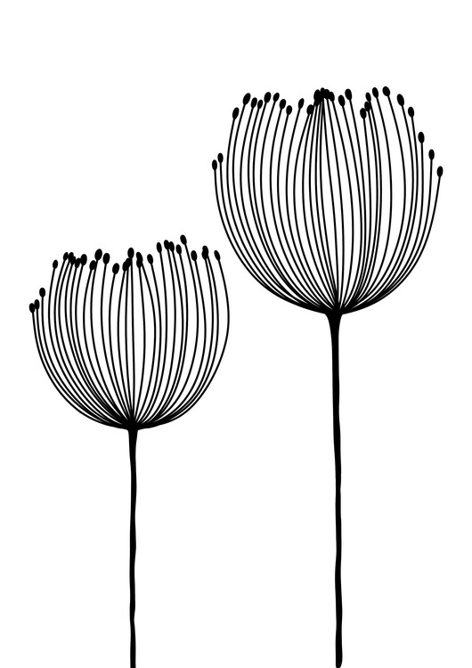 Poster Line Art Boho Flowers