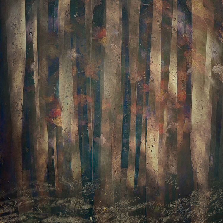 Canvas Print Forest abstract