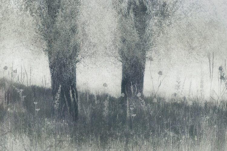 Levně Plakát, Obraz - Memories, Nel Talen, 40 × 26.7 cm