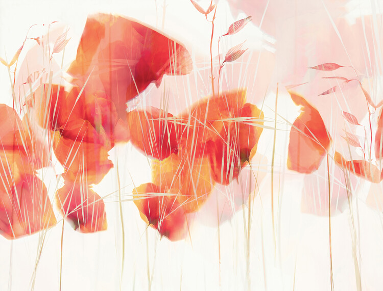 Levně Plakát, Obraz - Modern poppies, Nel Talen, 40 × 30 cm