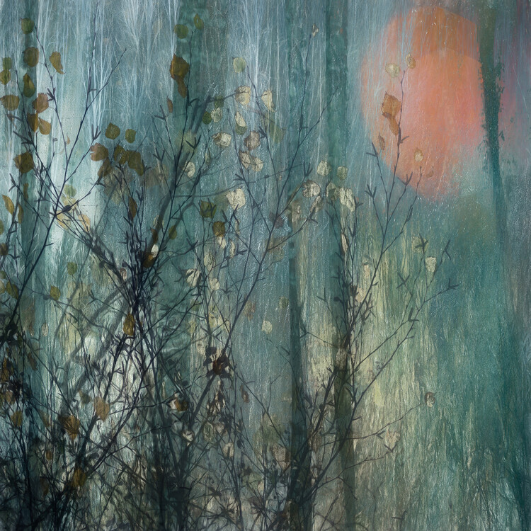 Levně Plakát, Obraz - Full moon, Nel Talen, 40 × 40 cm