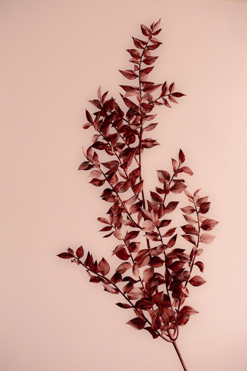 Canvas Print Last Summer