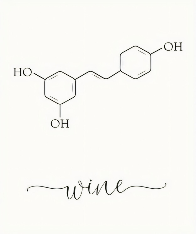 Plakát Wine