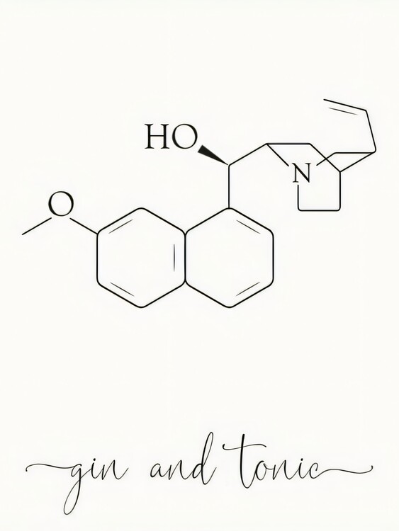 Canvas Print Gin&Tonic