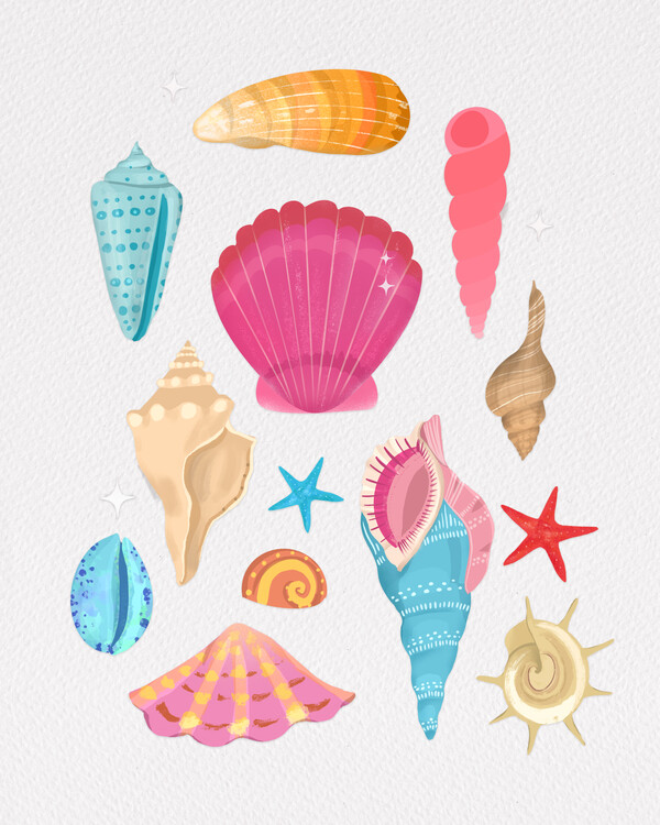 Poster Seashells