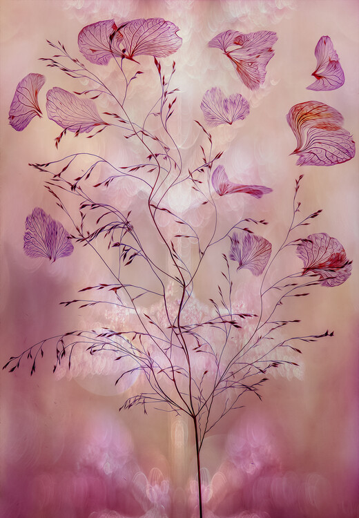 Levně Plakát, Obraz - Fragility, Hilda van der Lee, 26.7 × 40 cm