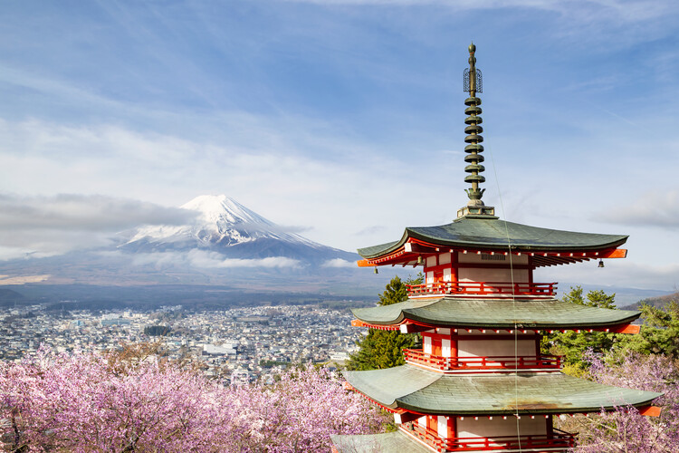 Poster Mount Fuji with Chureito Pagoda during cherry blossom season